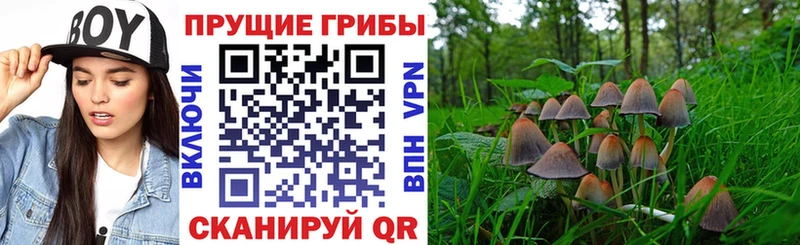 Галлюциногенные грибы мухоморы  Жигулёвск 